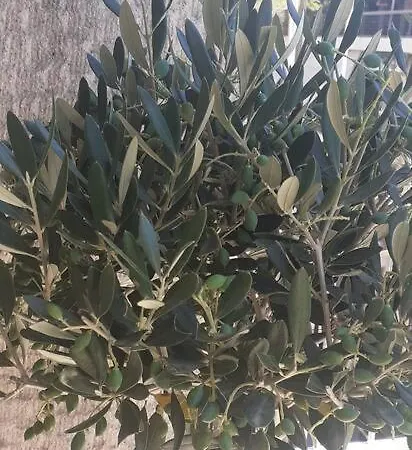 Apartment Staying Besides Acropolis! Athens